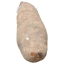 yam